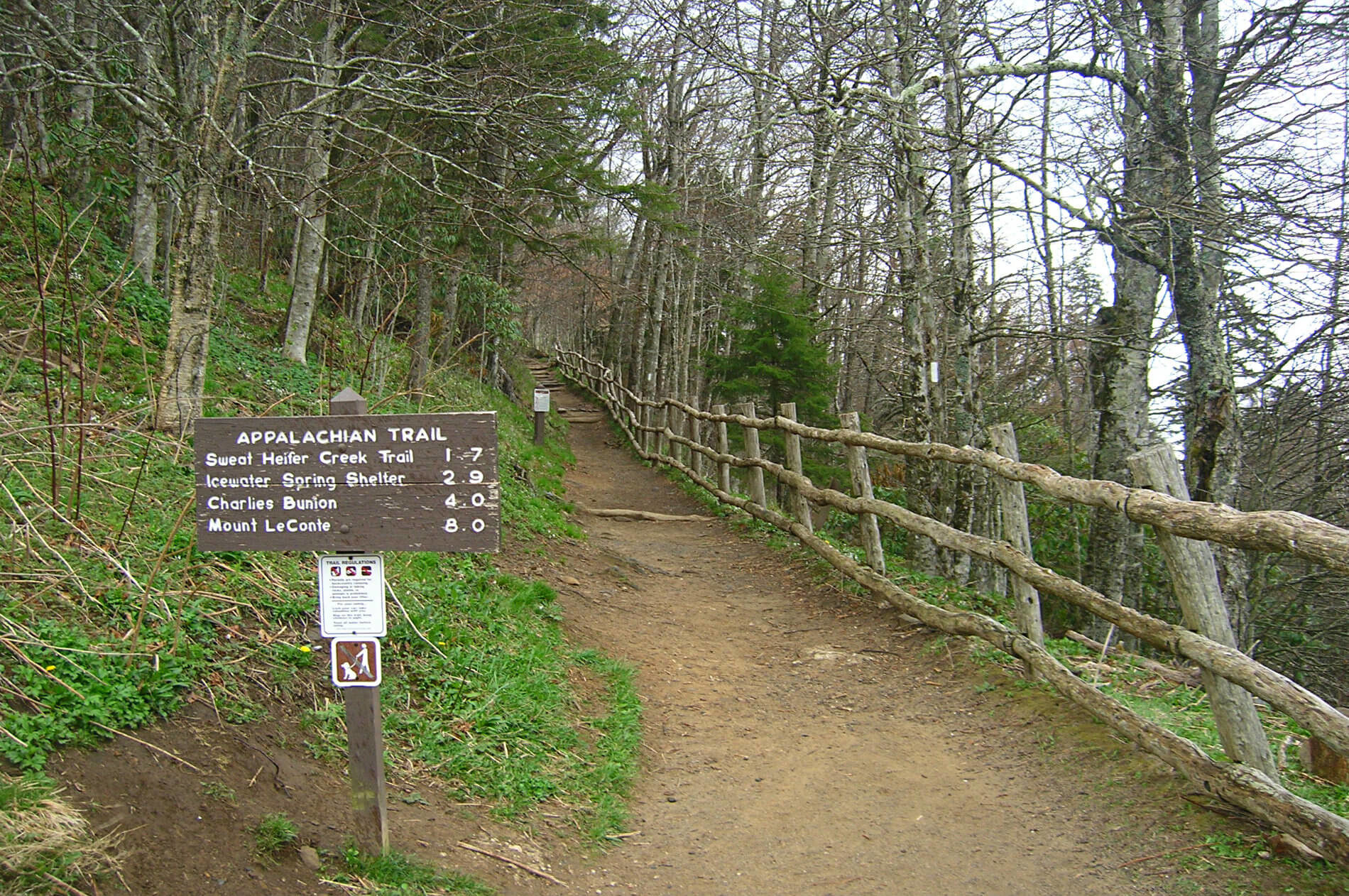 Dirt walking trail in forest alongside a split-rail wooden fence.