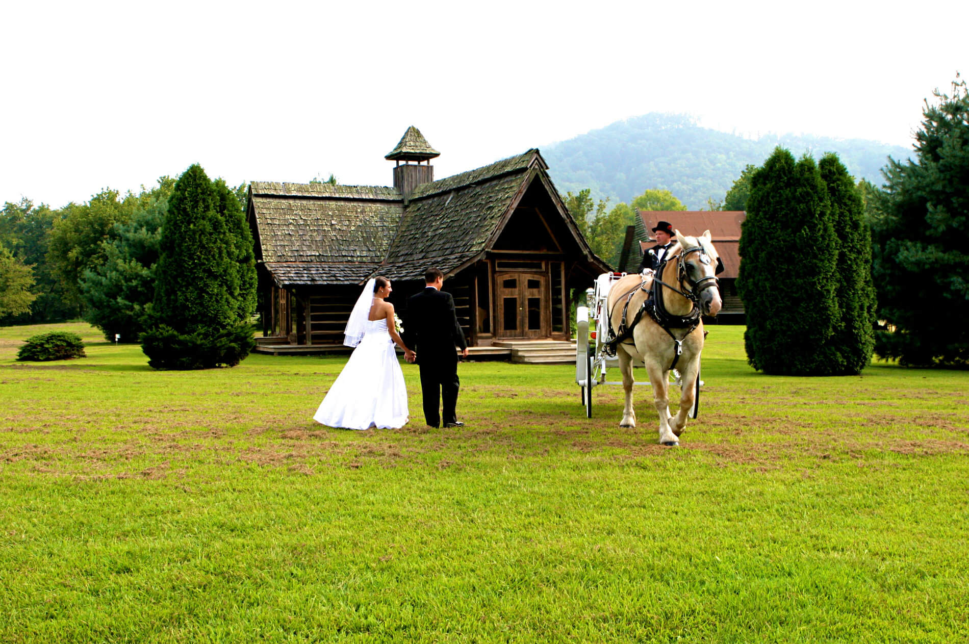 Wedding bride and groom standing next to white carriage with tuxedoed driver and tan horse