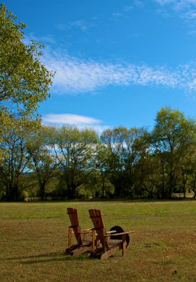 Picture of two chairs on the grass with trees in the background.